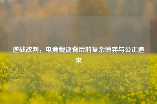 逆战改判,电竞裁决背后的复杂博弈与公正追求