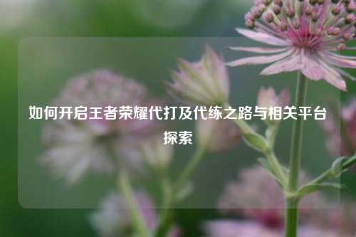 如何开启王者荣耀代打及代练之路与相关平台探索