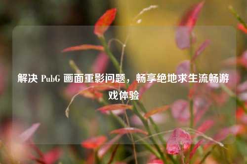 解决 PubG 画面重影问题,畅享绝地求生流畅游戏体验