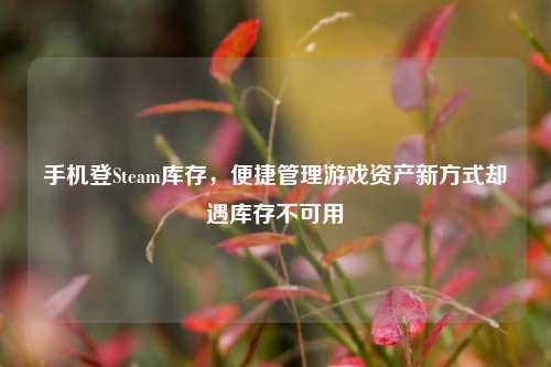 手机登Steam库存,便捷管理游戏资产新方式却遇库存不可用