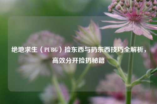 绝地求生(PUBG)捡东西与扔东西技巧全解析,高效分开捡扔秘籍