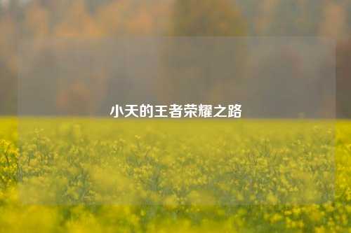 小天的王者荣耀之路