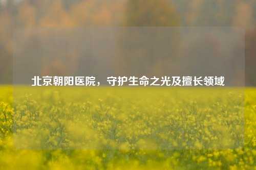 北京朝阳医院,守护生命之光及擅长领域