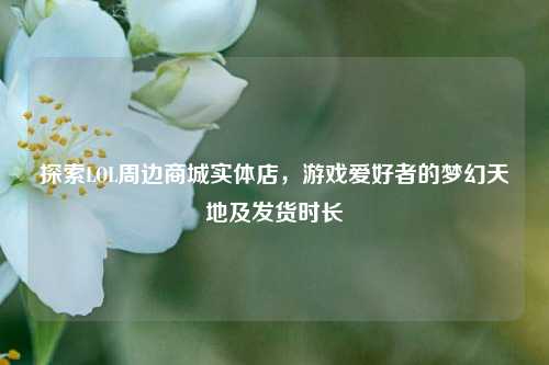 探索LOL周边商城实体店,游戏爱好者的梦幻天地及发货时长