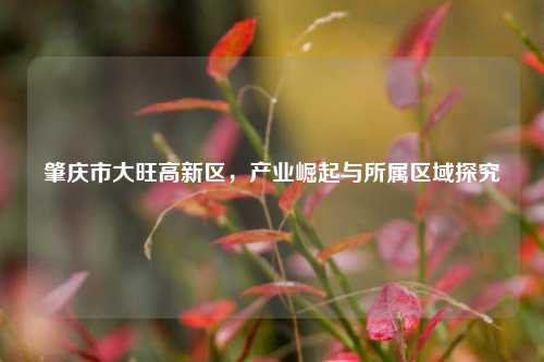 肇庆市大旺高新区,产业崛起与所属区域探究