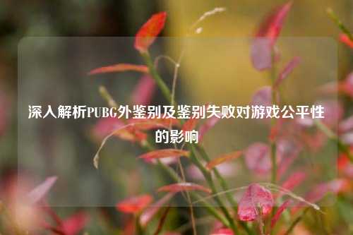 深入解析PUBG外鉴别及鉴别失败对游戏公平性的影响
