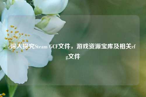 深入探究Steam GCF文件,游戏资源宝库及相关cfg文件