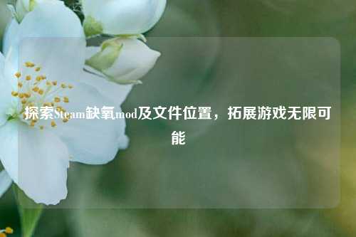 探索Steam缺氧mod及文件位置,拓展游戏无限可能