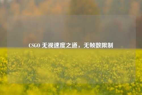 CSGO 无视速度之道,无帧数限制