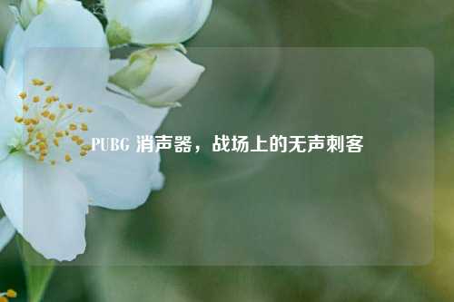 PUBG 消声器,战场上的无声刺客