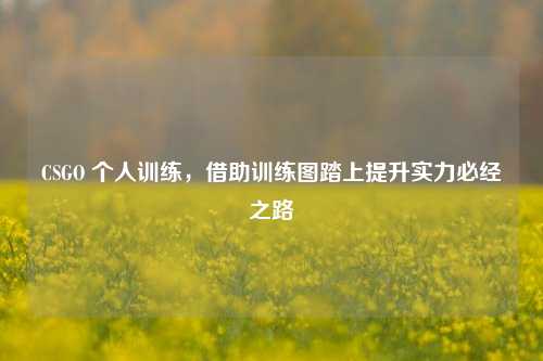 CSGO 个人训练,借助训练图踏上提升实力必经之路