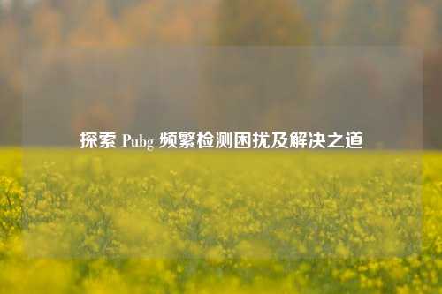 探索 Pubg 频繁检测困扰及解决之道