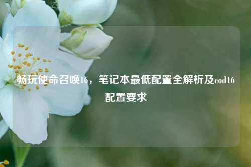 畅玩使命召唤16,笔记本更低配置全解析及cod16配置要求