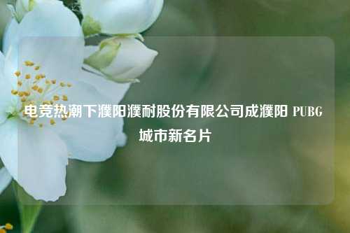 电竞热潮下濮阳濮耐股份有限公司成濮阳 PUBG 城市新名片