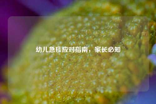 幼儿急疹应对指南,家长必知
