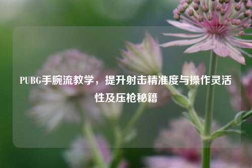 PUBG手腕流教学,提升射击精准度与操作灵活性及压枪秘籍