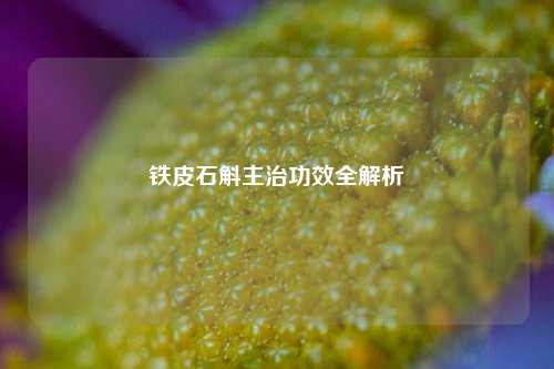 铁皮石斛主治功效全解析