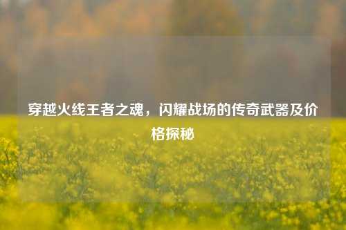 穿越火线王者之魂,闪耀战场的传奇武器及价格探秘