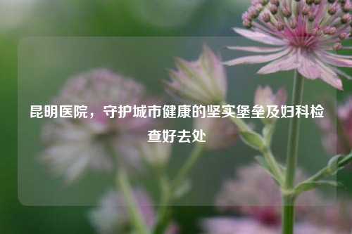昆明医院,守护城市健康的坚实堡垒及妇科检查好去处