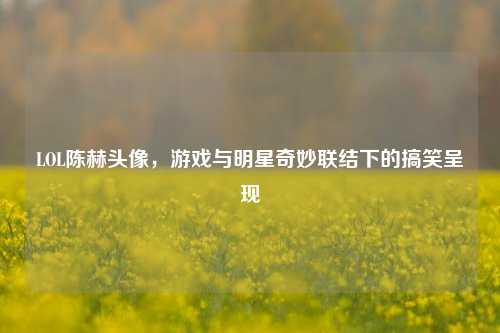 LOL陈赫头像,游戏与明星奇妙联结下的搞笑呈现
