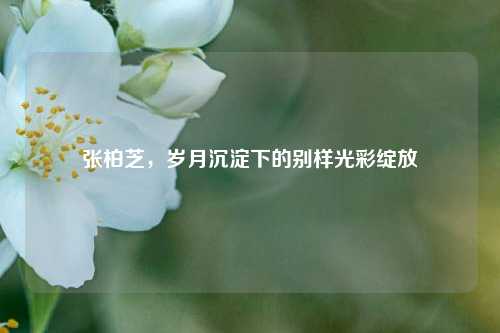 张柏芝,岁月沉淀下的别样光彩绽放
