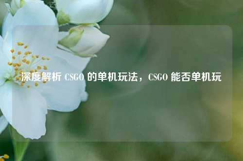 深度解析 CSGO 的单机玩法,CSGO 能否单机玩