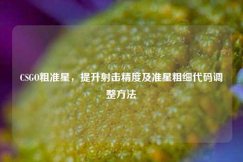 CSGO粗准星,提升射击精度及准星粗细代码调整 ***
