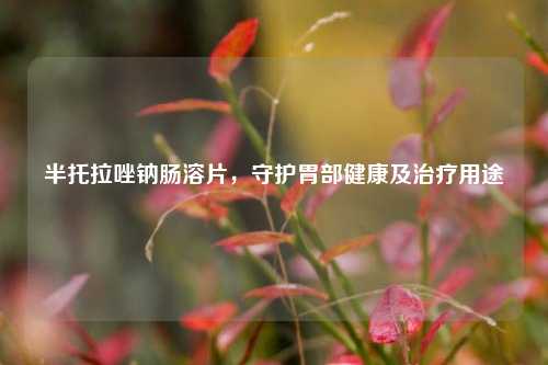 半托拉唑钠肠溶片,守护胃部健康及治疗用途
