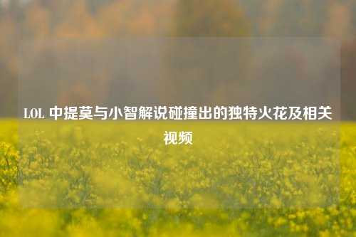 LOL 中提莫与小智解说碰撞出的独特火花及相关视频