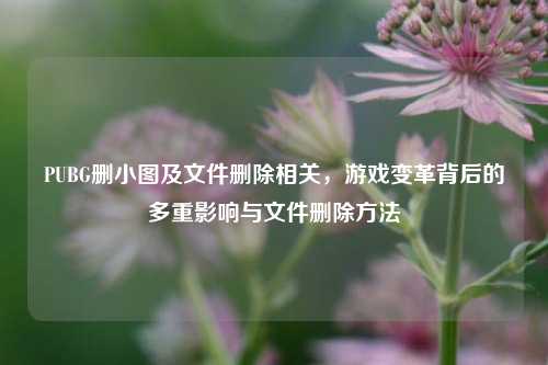 PUBG删小图及文件删除相关,游戏变革背后的多重影响与文件删除 ***