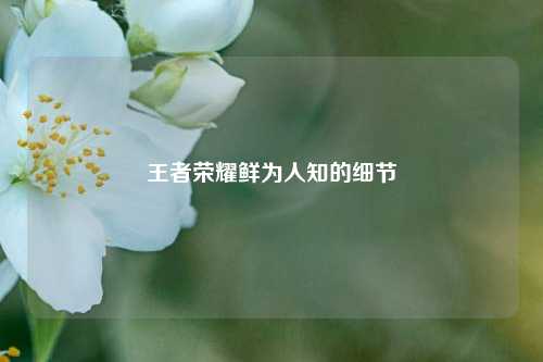 王者荣耀鲜为人知的细节