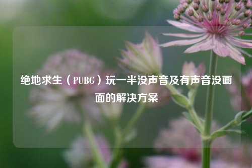 绝地求生(PUBG)玩一半没声音及有声音没画面的解决方案