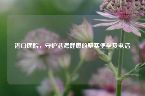 港口医院,守护港湾健康的坚实堡垒及 ***