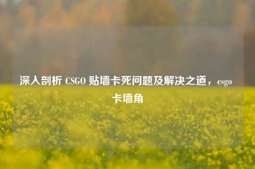 深入剖析 CSGO 贴墙卡死问题及解决之道，csgo 卡墙角