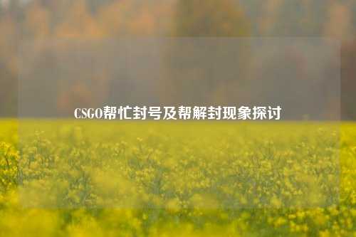CSGO帮忙封号及帮解封现象探讨