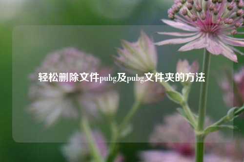 轻松删除文件pubg及pubg文件夹的 ***