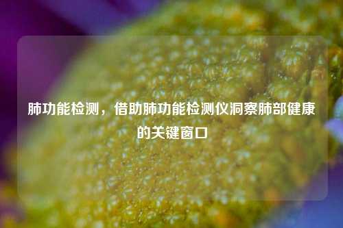 肺功能检测,借助肺功能检测仪洞察肺部健康的关键窗口