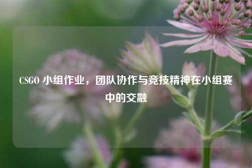 CSGO 小组作业，团队协作与竞技精神在小组赛中的交融