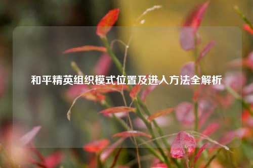 和平精英组织模式位置及进入 *** 全解析