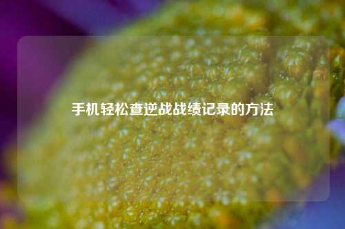手机轻松查逆战战绩记录的 ***