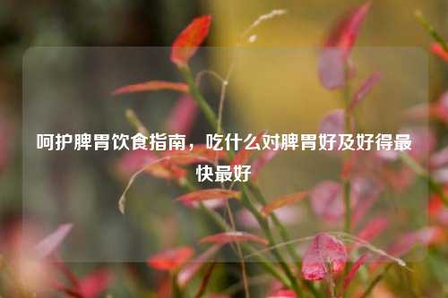 呵护脾胃饮食指南,吃什么对脾胃好及好得最快更好