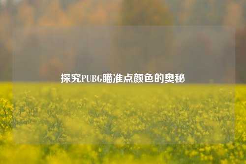 探究PUBG瞄准点颜色的奥秘