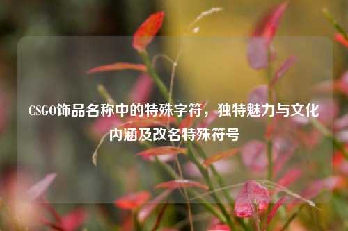 CSGO饰品名称中的特殊字符,独特魅力与文化内涵及改名特殊符号