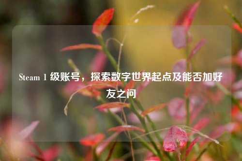 Steam 1 级账号，探索数字世界起点及能否加好友之问