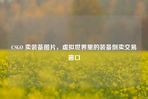 CSGO 卖装备图片,虚拟世界里的装备倒卖交易窗口