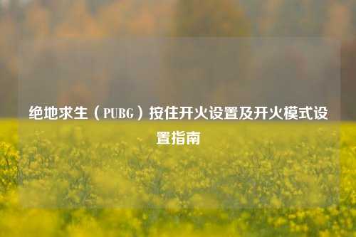绝地求生(PUBG)按住开火设置及开火模式设置指南