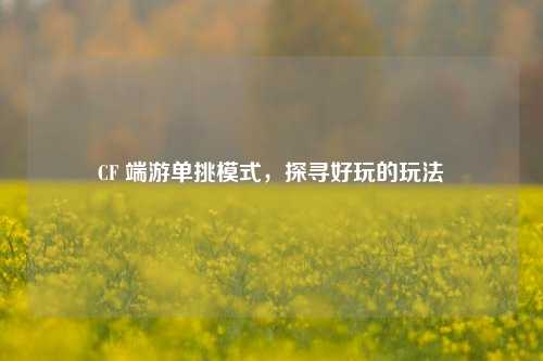 CF 端游单挑模式,探寻好玩的玩法