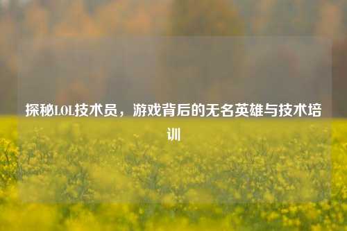 探秘LOL技术员,游戏背后的无名英雄与技术培训