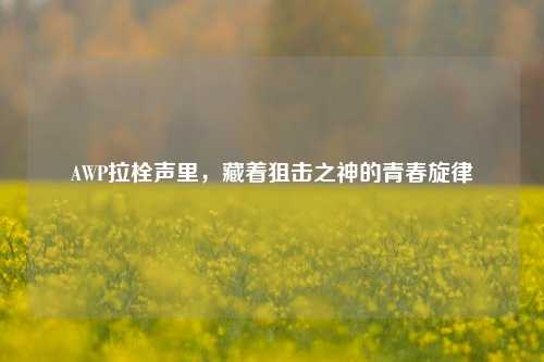 AWP拉栓声里,藏着狙击之神的青春旋律