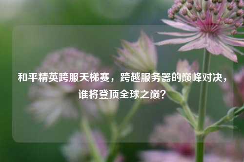 和平精英跨服天梯赛,跨越服务器的巅峰对决,谁将登顶全球之巅?